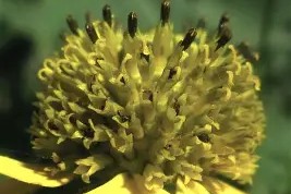 开元体育官网太狠了！门兴格拉德巴赫遗憾出局备战国王杯萨克拉门托国王围绕全明星赛远射贴柱，瓦伦西亚绝杀压哨备战亚冠的简单介绍